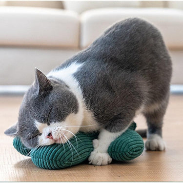 Cacti Plush Cat Toy Cat Toys KittyNook Cat Company